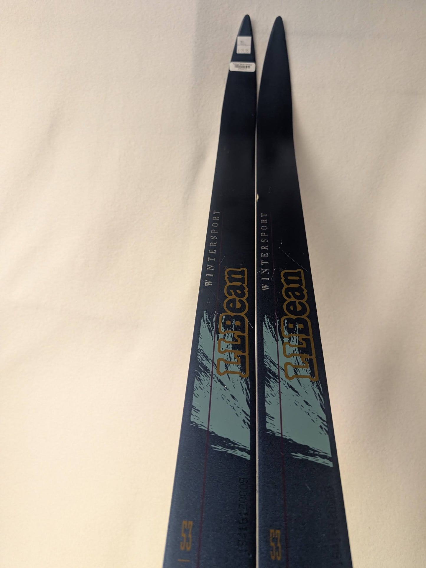 Cross Country LL Bean XC Skis with Bindings Size 180 Cm Blue Used