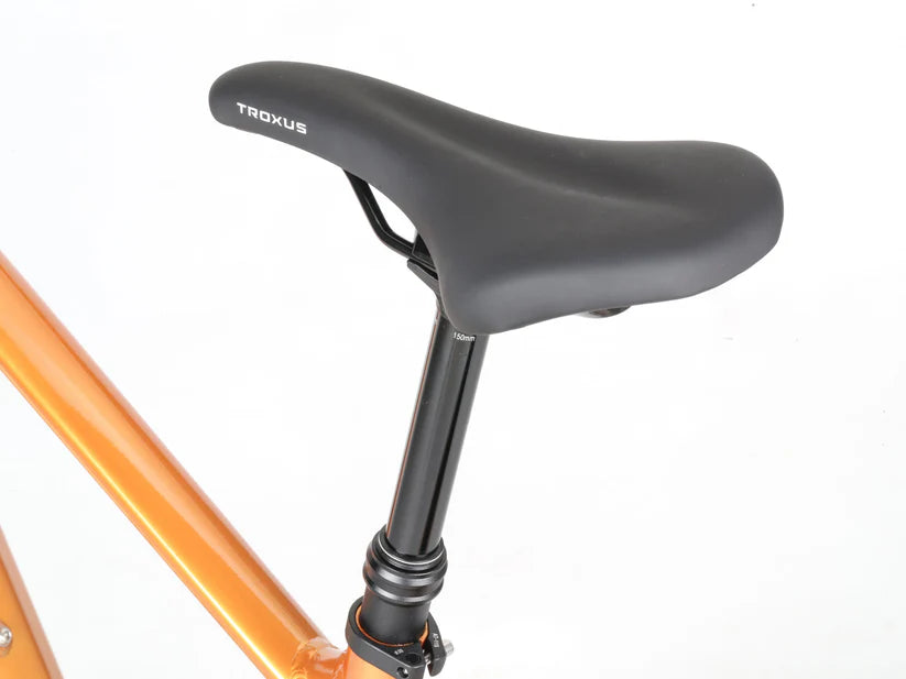 Troxus T-XC E-Bike New eMTB Electric Bike Hardtail Mountain Bike