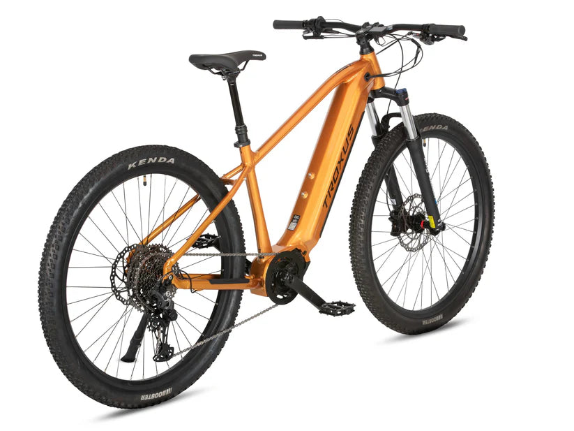 Troxus T-XC E-Bike New eMTB Electric Bike Hardtail Mountain Bike
