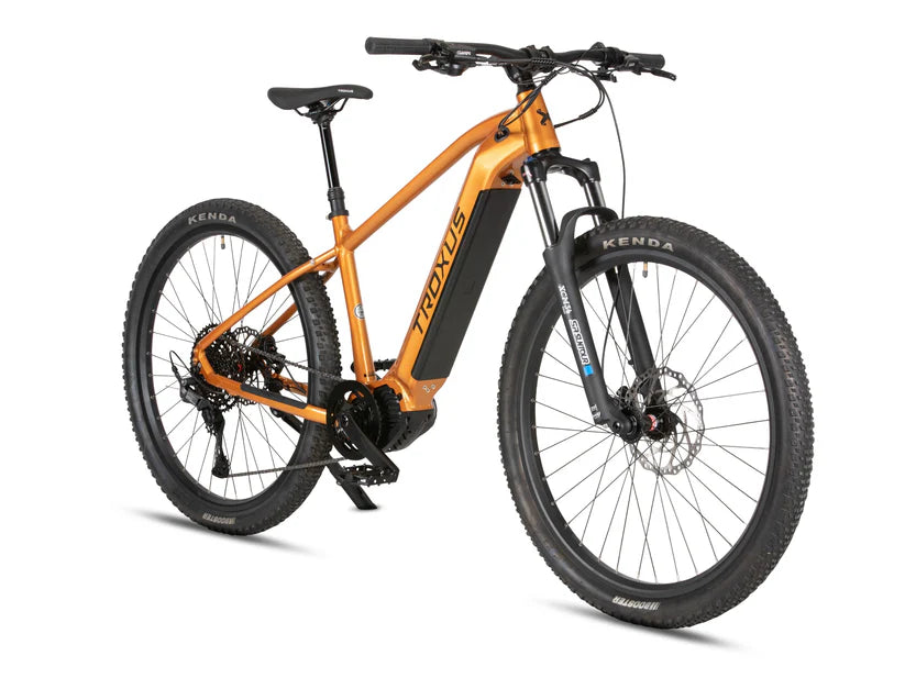 Troxus T-XC E-Bike New eMTB Electric Bike Hardtail Mountain Bike