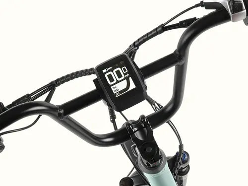 Retrospec Roo Rev XL Cargo Electric Bike UL 2849 Certified New eBike