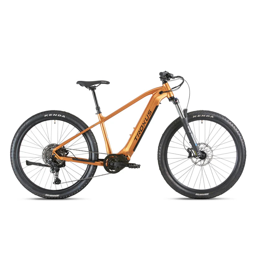Troxus T-XC E-Bike New eMTB Electric Bike Hardtail Mountain Bike