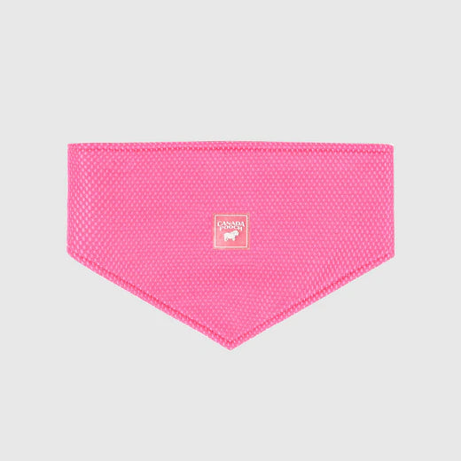 Canada Pooch Cooling Bandana Blue, Pink NEW Dog Bandana