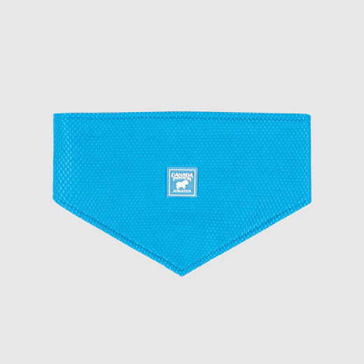 Canada Pooch Cooling Bandana Blue, Pink NEW Dog Bandana