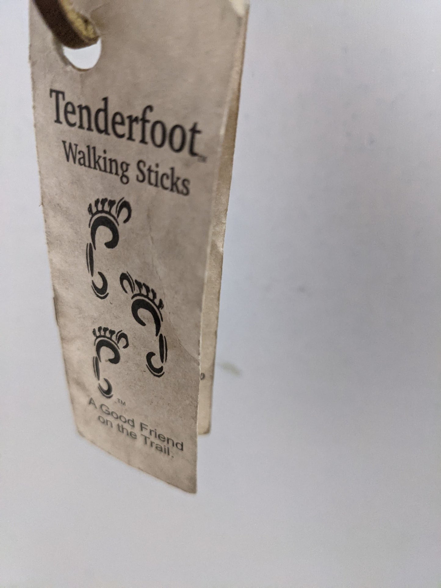 Hiking Stick Trekking Poles Wood Evergreen Colorado Tenderfoot 36 In Locally