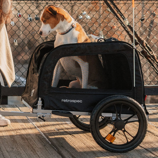 Rover Waggin' Pet Bike Trailer Carrier Bike e-Bike Electric Bike Black