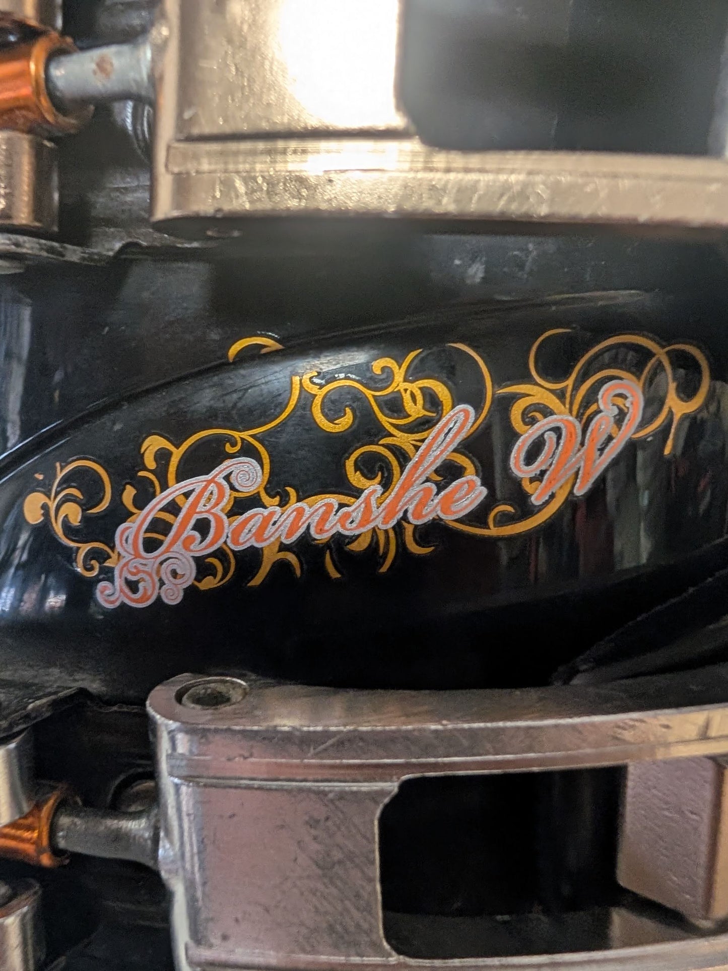 Lange Banshe Women's Ski Boots Size 24? Color Brown Condition Used