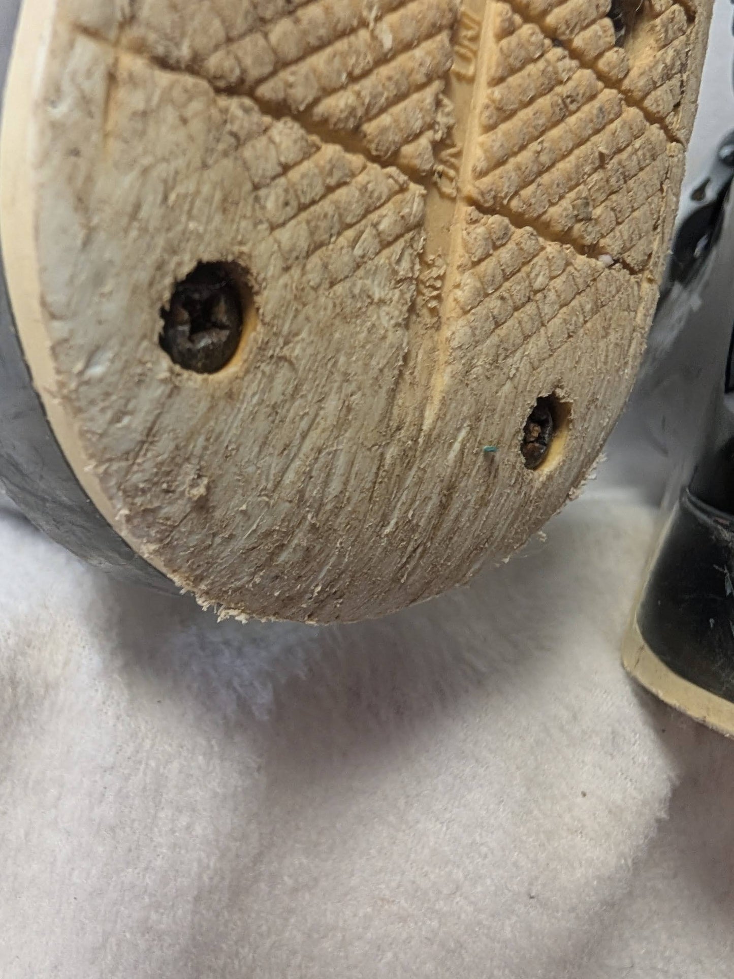 Fischer Vision 100 Ski Boots Size 24.5 Color Black Condition Used Women