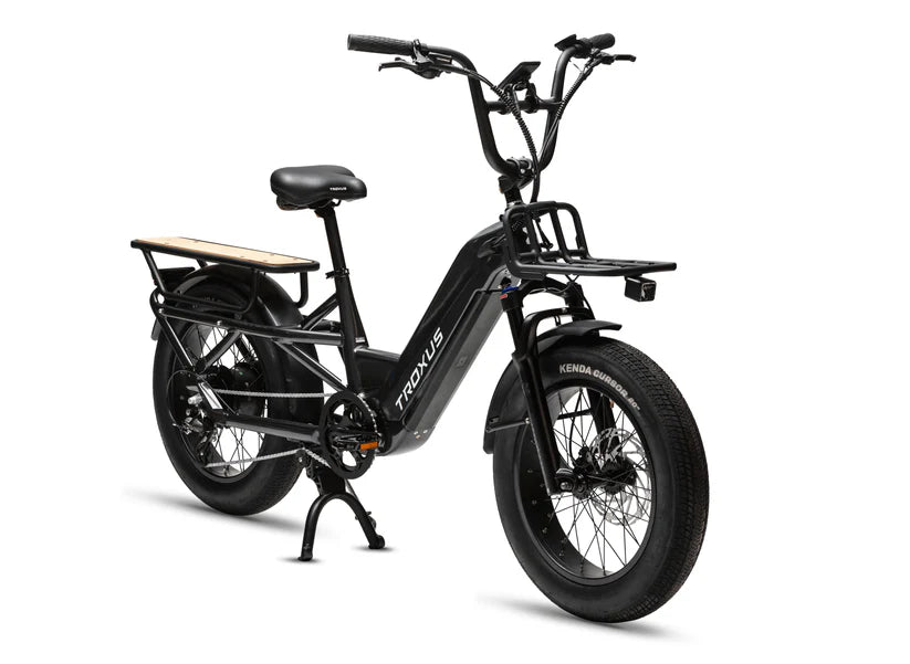 Troxus Lynx Cargo E-bike New Electic Bike Option Child Carrier