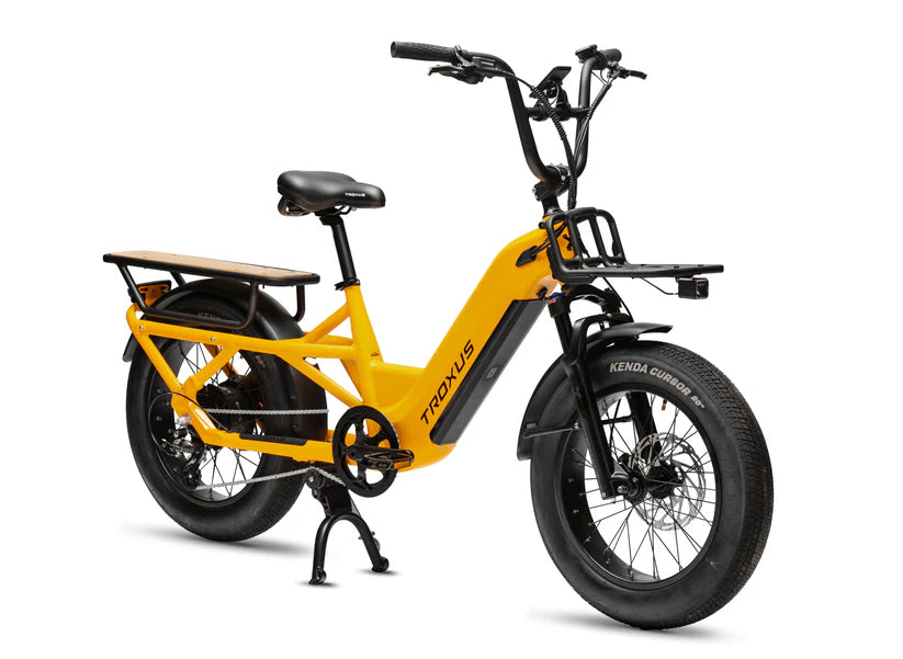 Troxus Lynx Cargo E-bike New Electic Bike Option Child Carrier