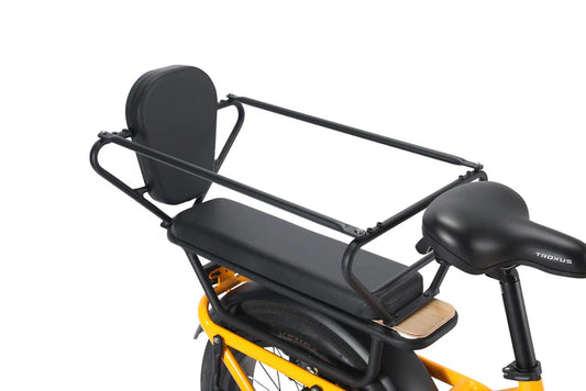Troxus Lynx Cargo E-bike Cargo Rack Safety Rails New