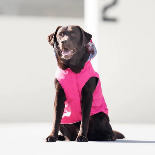Canada Pooch Torrential Tracker Pink and Yellow Multiple Sizes available New Dog Raincoat