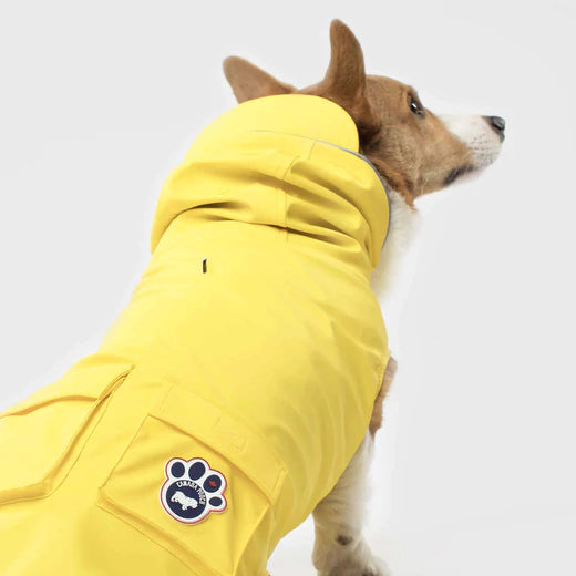 Canada Pooch Torrential Tracker Pink and Yellow Multiple Sizes available New Dog Raincoat