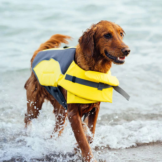Canada Pooch Wave Rider Dog Life Vest Size XS-XL  Yellow, Pink, Tie Dye Boating New